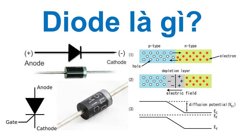 Diode là gì? Cấu tạo, phân loại, cách đo và ứng dụng của Diode